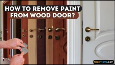 remove paint from wood door